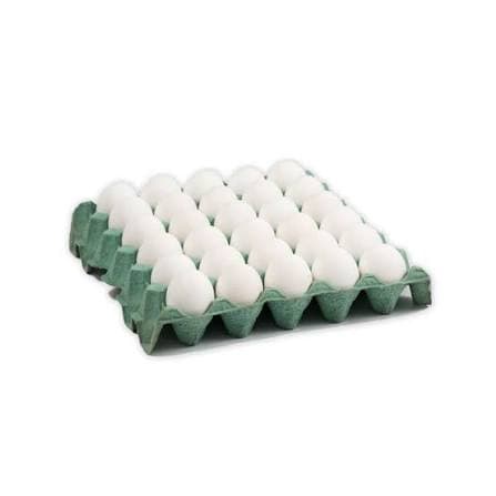 Maple N2 de Huevos Blancos x 30 Unidades